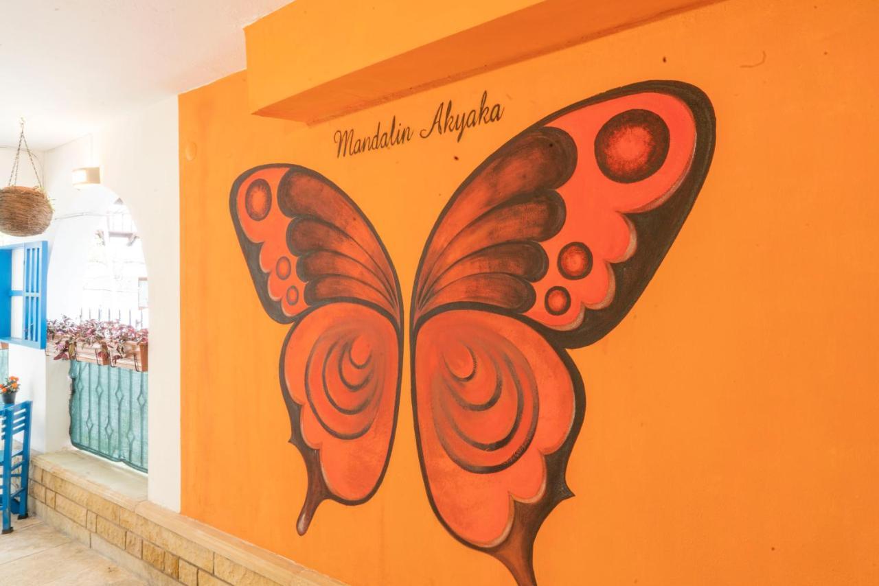 Mandalin Akyaka Hotel Akyaka  Buitenkant foto